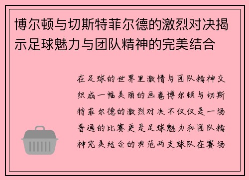 博尔顿与切斯特菲尔德的激烈对决揭示足球魅力与团队精神的完美结合